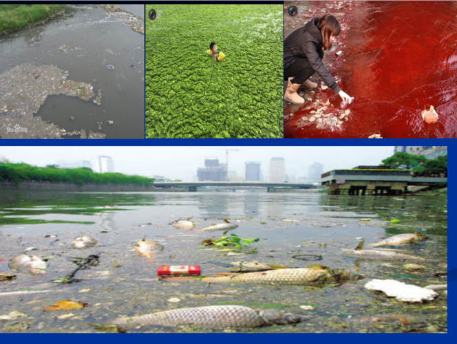 杭州品拓环保在线 水污染治理人人有责