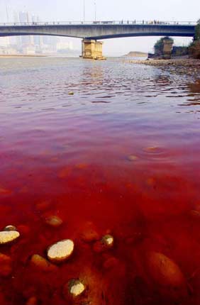 黄河兰州段出现再现1公里红水污染带(组图)