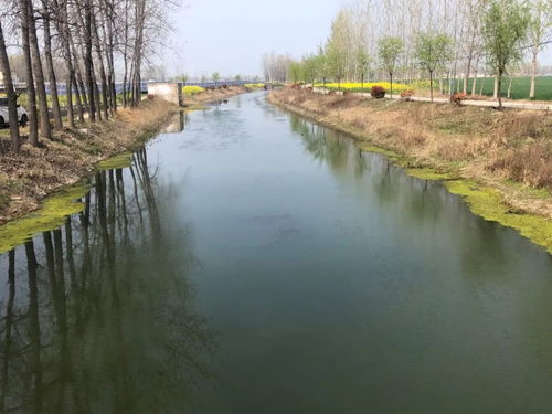 安徽省多市生态环保部门开展汛期水污染防治工作