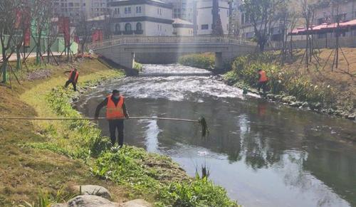 水,土壤污染防治"三大战役"领导小组办公室对成都市岷沱江流域水环境