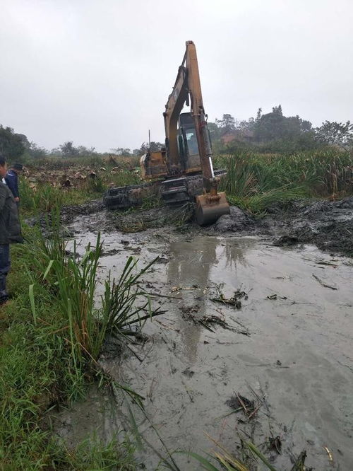 汨罗镇 治理小微水体,打通治水护水 最后一公里