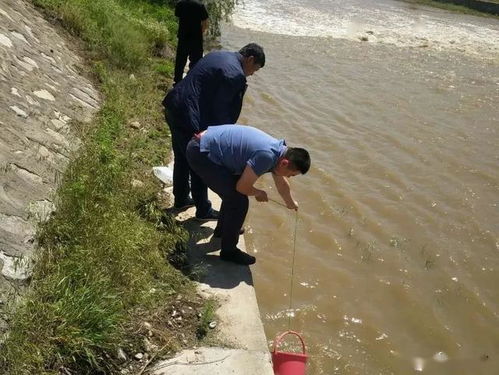 临汾市生态环境局洪洞分局强化监测预警 全面推进汾河流域水污染治理攻坚