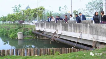 朱莉现场办公 施策 园区水污染防治疾病