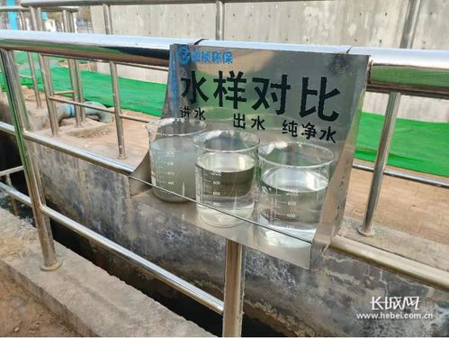 衡水构建全方位水污染防治体系 推动全市水生态环境质量持续改善